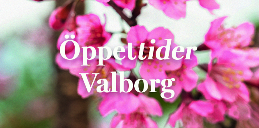 Puff Hemsida Valborg
